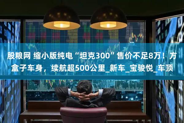 股粮网 缩小版纯电“坦克300”售价不足8万！方盒子车身，续航超500公里_新车_宝骏悦_车顶