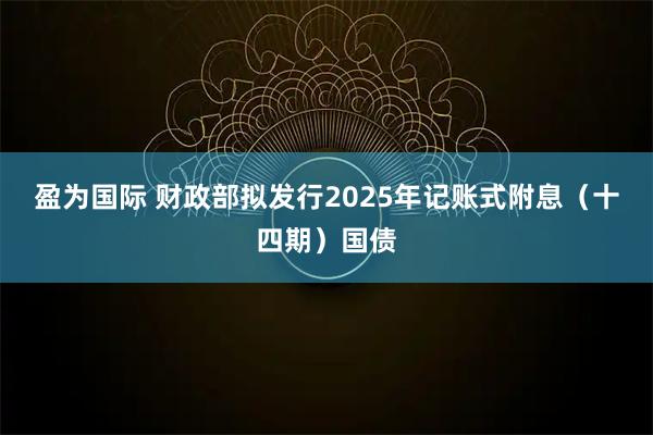 盈为国际 财政部拟发行2025年记账式附息（十四期）国债