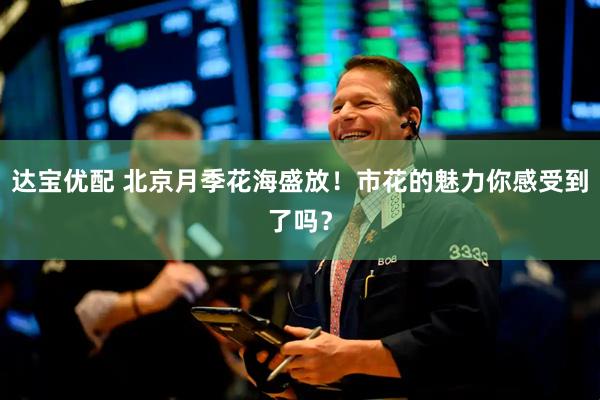 达宝优配 北京月季花海盛放！市花的魅力你感受到了吗？